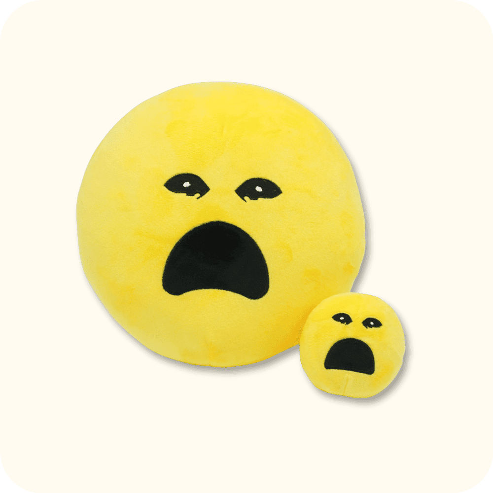 Crying Verity Plush Crying Verity Plush