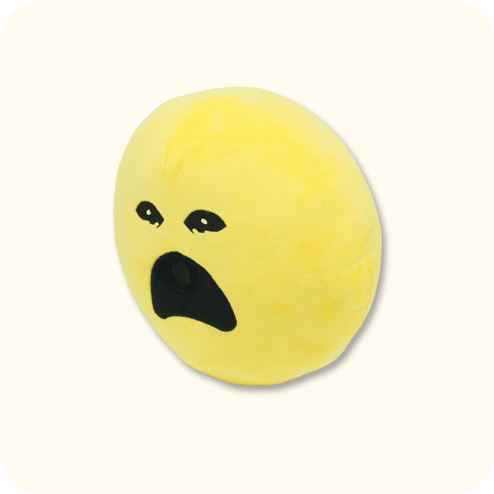 Crying Verity Plush Crying Verity Plush